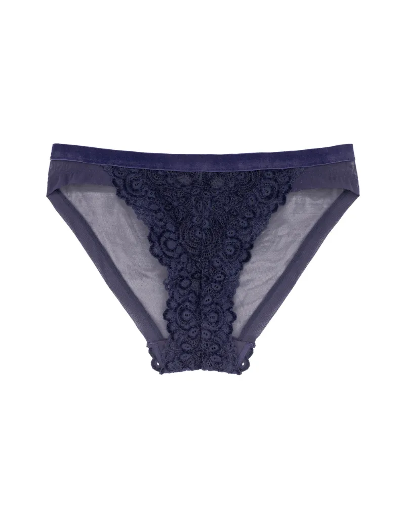Dorina Ink Blue Velvet Lace Wire Free Molded Bra & Panty Set